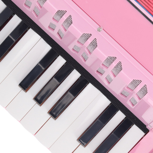 Acordeón Infantil, Instrumento Musical Para Niños, 17 Teclas