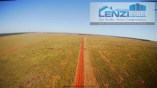 Imagem 28 de 29 de Fazendas À Venda Em Cacu/go - Compre O Seu Fazendas Aqui! - 1479755