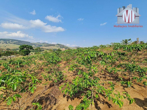 Imagem 27 de 30 de Linda Chácara Com 4 Dormitórios, Móveis Planejados, Varanda, Pomar, Bem Localizado, À Venda, 6000 M² Por R$ 800.000 - Rural - Socorro/sp - Ch1086