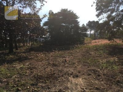 Imagem 11 de 25 de Terreno - Ref: 31873
