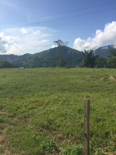 Imagen 3 de 3 de Venta De Terreno En Capacho