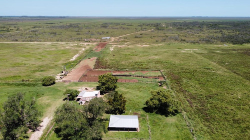Imagen 4 de 10 de Campo De 1500 Ha Agrícola-ganadero - Galvez