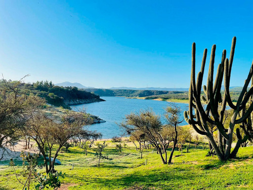 Imagen 40 de 44 de Hacienda Los Aromos