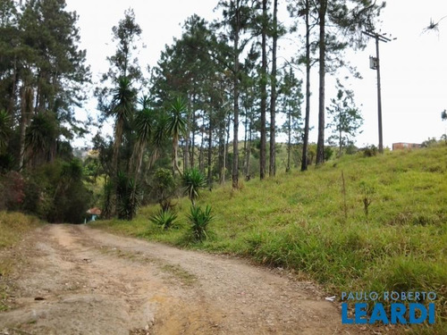 Area - Reserva - Sp - 373456