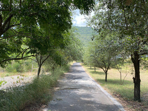 Terrenos En Venta Los Azulejos Zona Carretera Nacional Monterrey