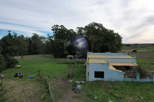 Campo En Venta De 150 Hectáreas, Ubicado En Migues