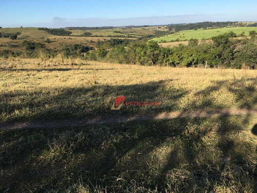 Terreno À Venda, 30941 M² Por R$ 0 - São Pedro - São Pedro/sp - Te0676
