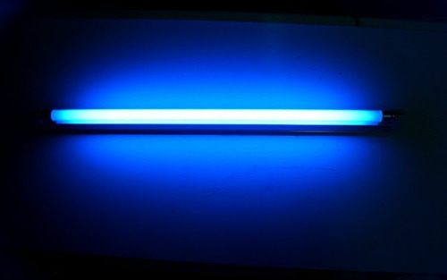 Bombillo 6w Luz Ultravioleta Negra T5 Toshiba( Pack 3 Uni)