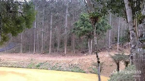 Chácara Com 3 Dormitórios À Venda, 31986 M² Por R$ 390.000,00 - Paiol De Baixo - Campina Grande Do Sul/pr - Ch0009