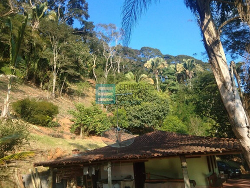 Imagem 6 de 15 de Edinaldo Santos - Vale Do Tinguá Granja De 6.000m2 Com Casa Ref 974 - 974