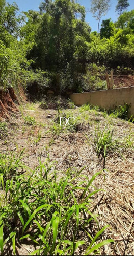 Imagem 7 de 7 de Terreno - Te00128 - 69919956