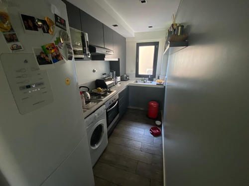 Imagen 15 de 24 de Departamento 3 Ambientes De Categoría En Haedo Chico