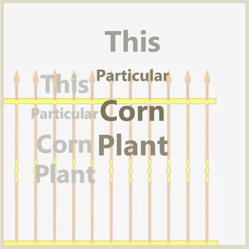 Libro: This Particular Corn Plant