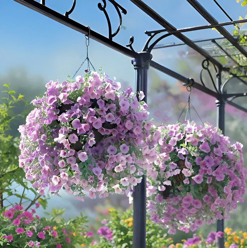 100 Semillas De Flor De Petunia Lila