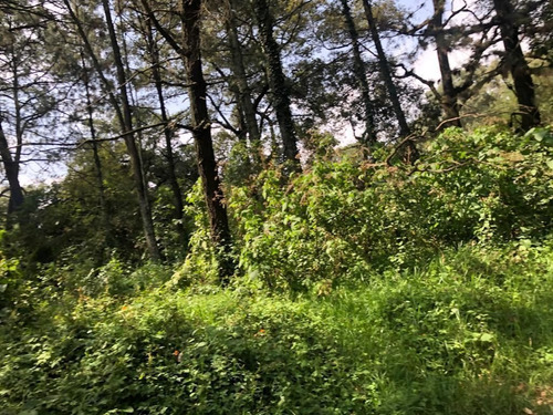 Imagen 7 de 8 de Aproveche Para Constuir Su Cabaña