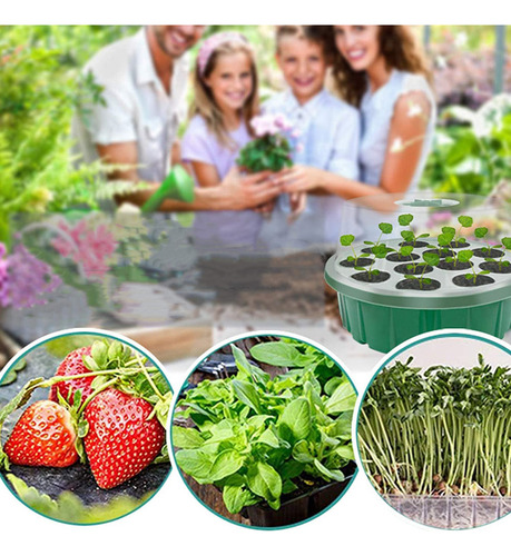 Caja De Plántulas Propagator Con 13 Orificios, Ajustable, 2