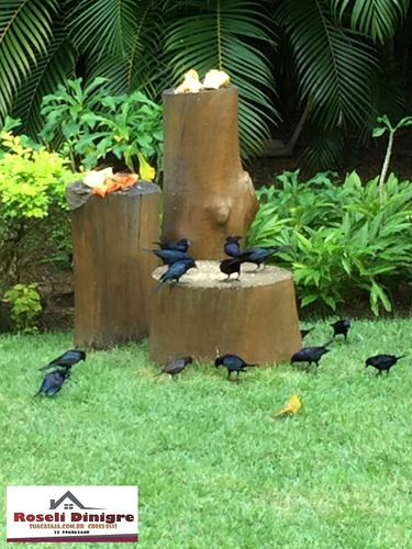 Imagem 4 de 30 de Bela Casa Com Lindo Jardim Privacidade Total No Encontro Das Águas Para Venda - V146c4 - 32745323