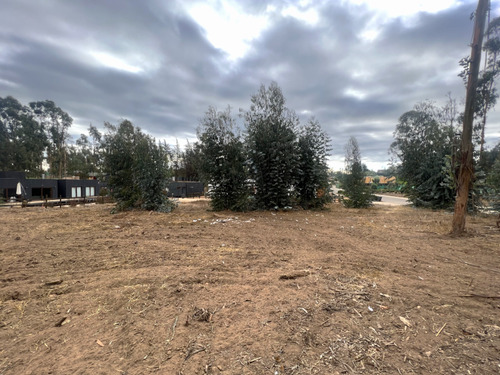 Imagen 12 de 22 de Sitio En Condominio De Categoría En Venta En Puchuncaví