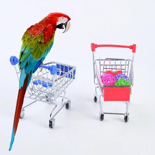 Juguetes, Compras, Adiestramiento De Aves, Periquito Agaporn