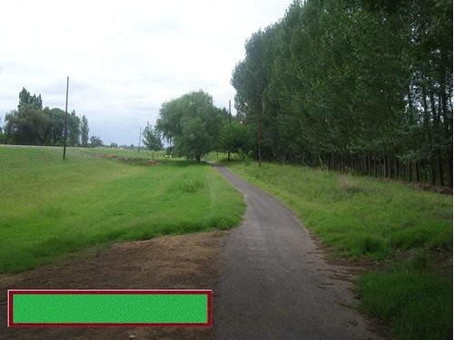Imagen 3 de 11 de Finca 6,6ha Turistica Y Productiva Con Casa Sobre Ruta Nacional 188 Camino A Las Leñas Dueño Vende Permuta Chacra Buena Tierra Con Riego