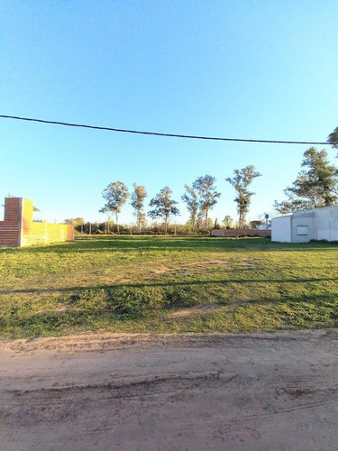 Imagen 1 de 2 de Terreno - Gualeguaychu