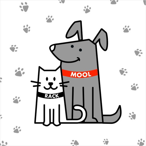 Imagen 5 de 8 de Collar Bordado Personalizado En 2,5 Cm De Ancho Pet Id