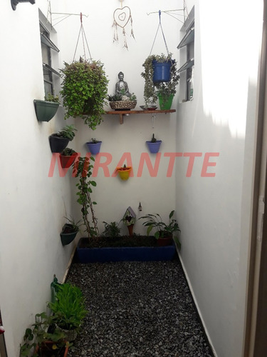 Imagem 7 de 19 de Casa Terrea Em Jaçana - São Paulo, Sp - 313247