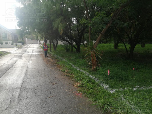 Imagen 4 de 11 de Terreno - Palo Blanco
