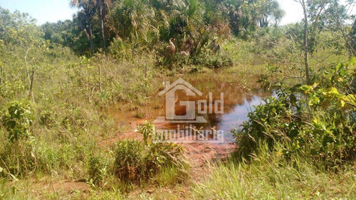 Imagem 3 de 5 de Fazenda À Venda, 338 Hectares Por R$ 18.000.000 - Zona Rural - Prata/mg - Fa0208