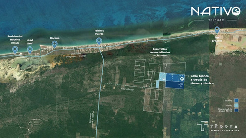 Imagen 4 de 30 de Terreno En Venta En Yucatan A 9 Min De La Playa Telchac Nati