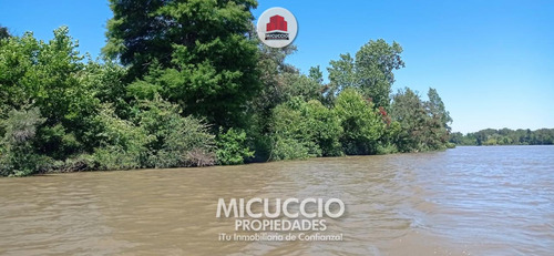Lotes En Venta, Islas Campana, Partido De Campana, Sobre El Río Paraná. Se Escuchan Ofertas.
