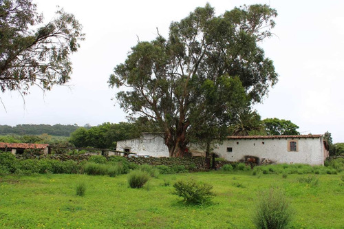 Imagen 8 de 14 de Rancho Ganadero En Venta En Nopala Hidalgo.