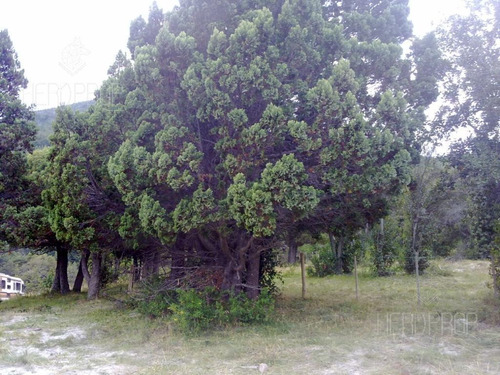 Imagen 12 de 15 de Terreno - Villa Lago Meliquina - 1000m2