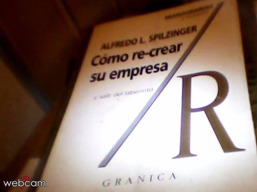 Como Recrear Su Empresa Y Salir Del Laberinto A. Spilzinger