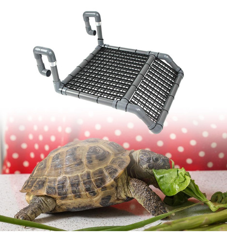 Para Tomar El Sol Para Tortugas, Rampa De Para Tortugas, B