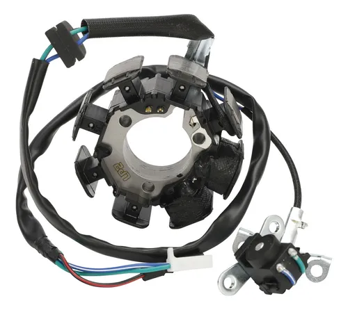 Estator De Encendido Y Junta For Honda Crf F 150 150f 03-05