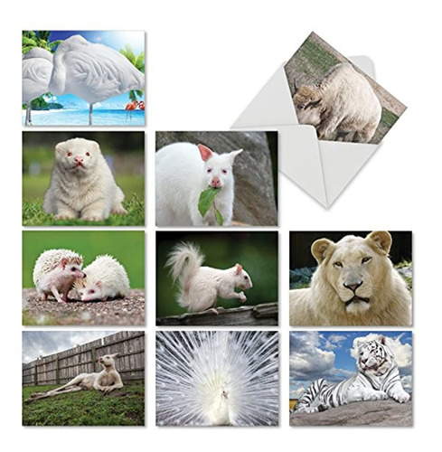 10 Tarjetas De Visitas En Blanco Con Animales (4 X 5,12 )