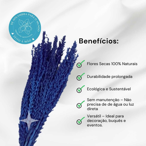 Planta Seca Flor De Milho Azul 60 Cm