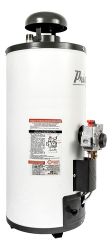 Calentador de agua a gas Iusa PRIMO PLUS R08 NAT blanco