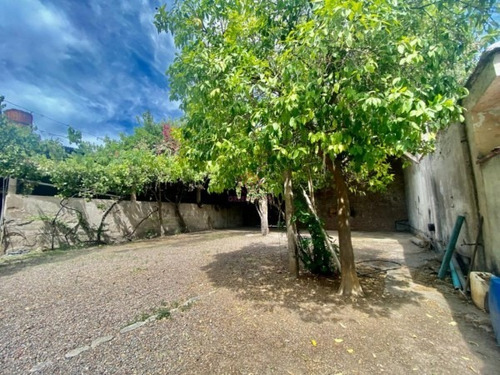 Imagen 20 de 30 de Greenwood Vende Bodega Y Casa En Lujan De Cuyo, Ideal Para Inversores De Experiencias Gastronomicas Y Guarda De Vinos