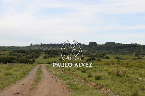 Imagen 18 de 30 de Chacras-venta-cerros-azules-ch073