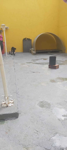 Imagem 13 de 13 de Pet Shop, Consultório, Banho E Tosa, Hotelzinho E Residência