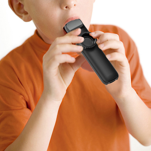 Flauta Musical Con Para Instrumento Flauta Kazoo