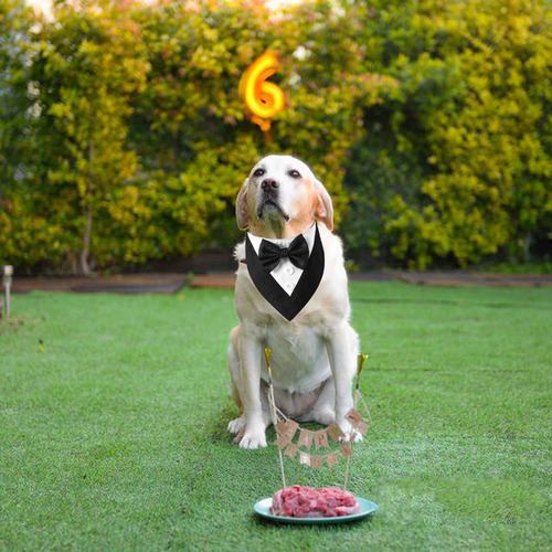 Bandana De Boda Con Forma De Esmoquin Para Perro, Modelo Ado