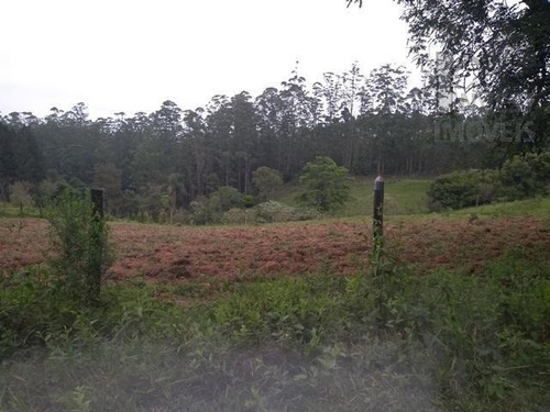 Cod 4068 - Lindo Sitio Com 39.900 M². - 4068