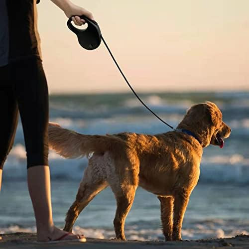 Correa Retráctil Para Perros De Escala Pequeña De 16 Pies Pa