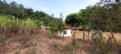 Imagem 9 de 14 de Chacara 9.000m2 Com Riacho A Venda Em Pinhalzinho Sp