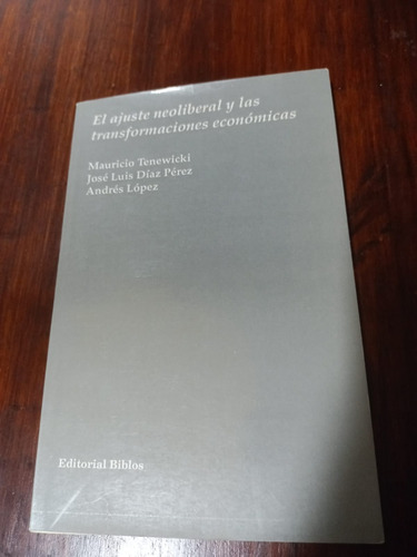 El Ajuste Neoliberal Y Las Transformaciones Económicas