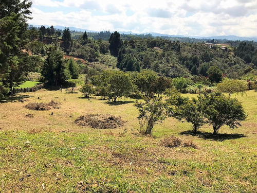 Hermoso Lote Para Construir En Parcelación, Rionegro, Vereda Mampuesto