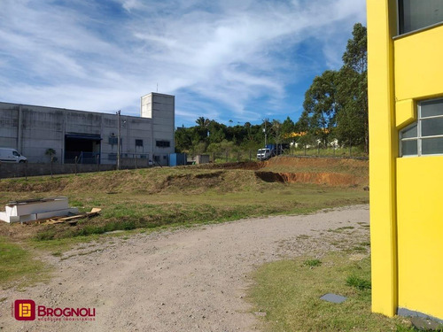 Imagem 6 de 14 de Galpao/deposito - Forquilhas - Ref: 38507 - V-gp41-38507
